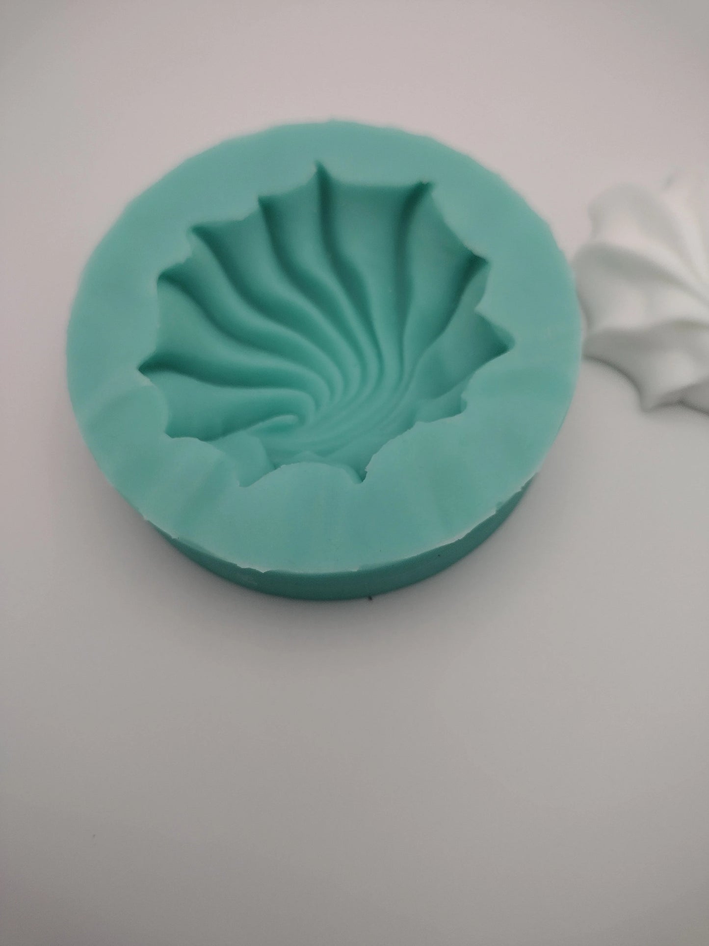 Shell Swirl/Swirl Cookie-Silicone Mold-Faux Fake Bake-Clay, Resin, Soap, Candle, Plaster, Fondant or Baking Mold-Two Mold Styles Available